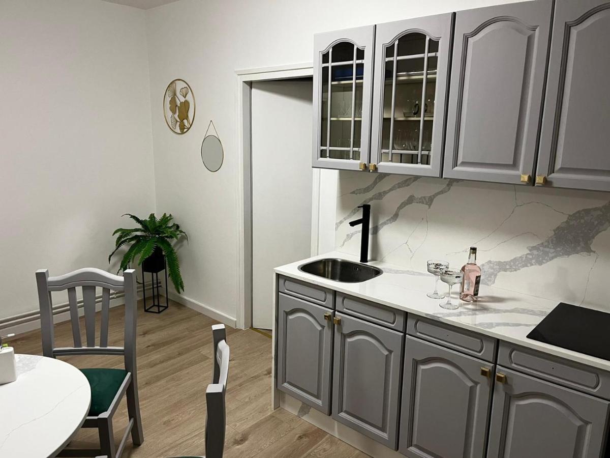 Appartamento Apartman Gold Maris Karlovac Esterno foto